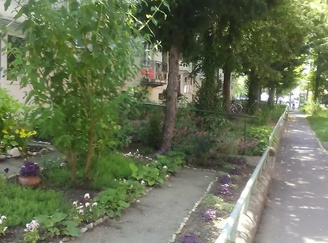 Apartament Feszek Bichișciaba